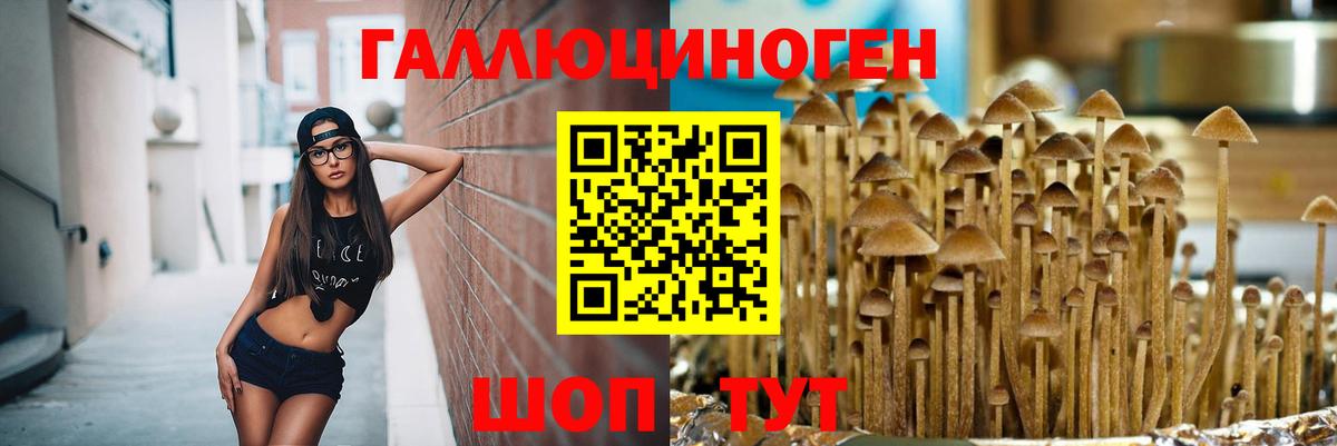 Видное  Псилоцибиновые грибы Cubensis  Вход с VPN 